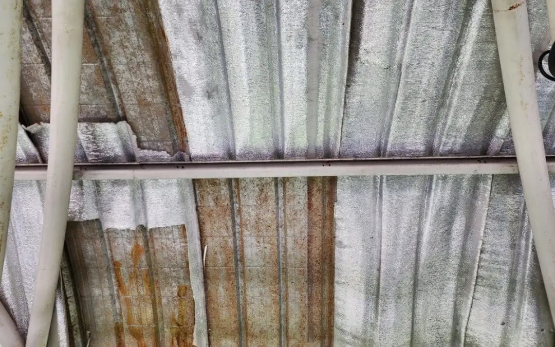 Expert Tips for Maintaining Your Stucco in Phoenix’s Harsh Sunlight